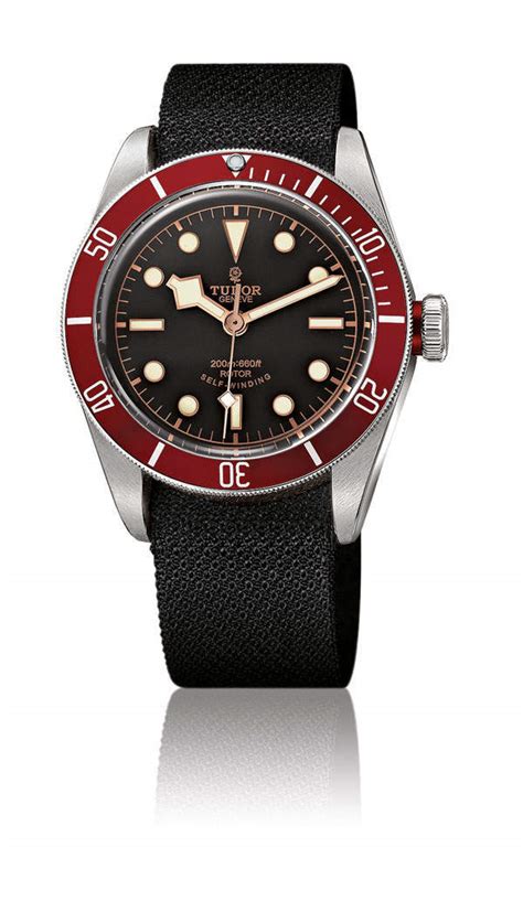 tudor brand